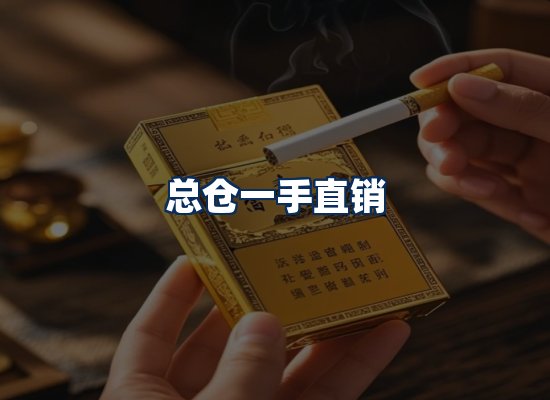 专业团队办公环境